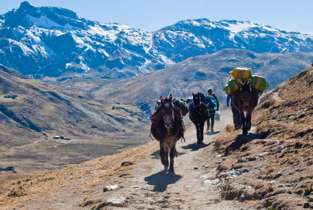 Inca Trail Tours Reimagined
